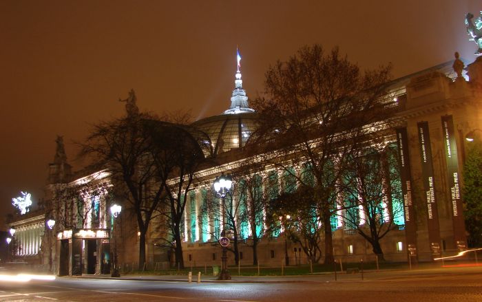 grand Palais la nuit &agrave; Paris